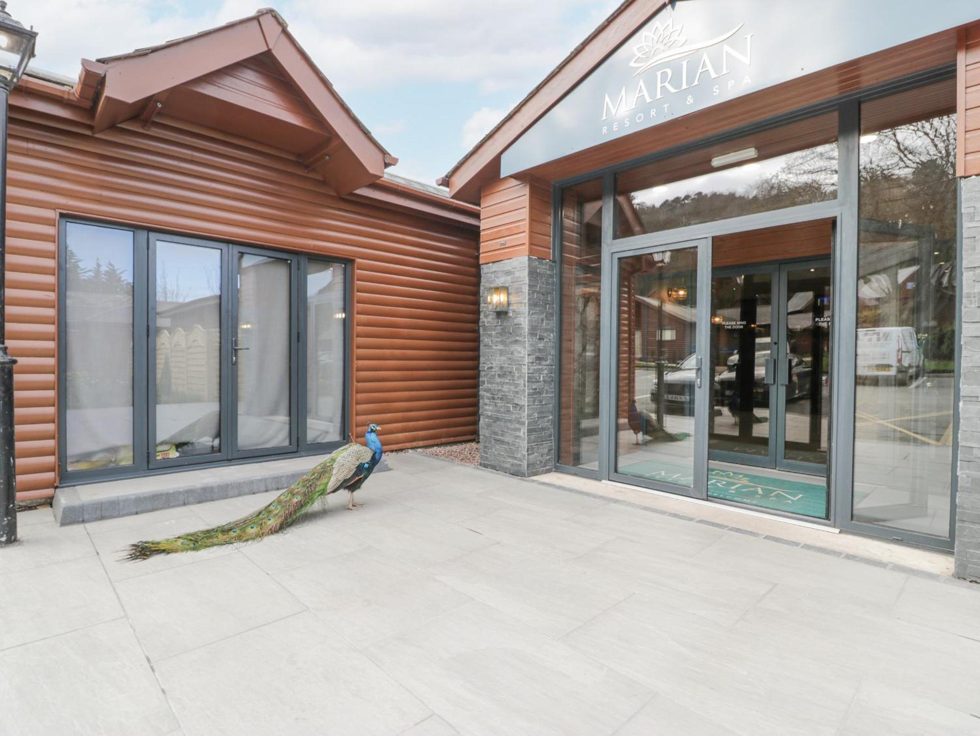 Luxury Lodge 62 Rhyl Luaran gambar
